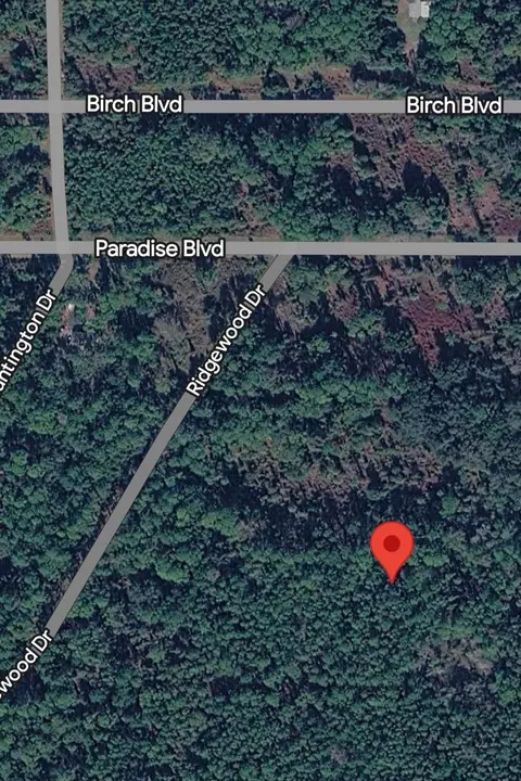 215 Laisy Dr, Georgetown, FL 32139