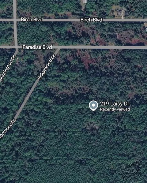 219 Laisy Dr, Georgetown, FL 32139
