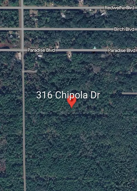 316 Chipola Dr, Georgetown, FL 32139