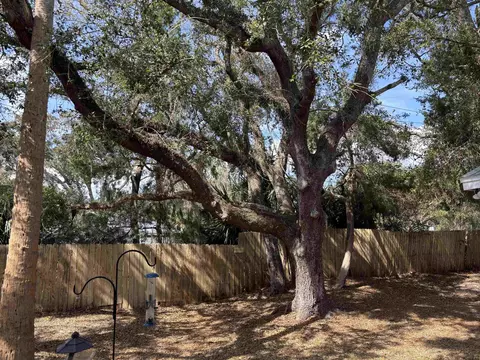8 Lee Dr, Saint Augustine, FL 32080 photo 43