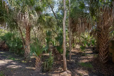 Exterior - 236 Nesmith Ave, Saint Augustine, FL 32084 photo 5 of 10