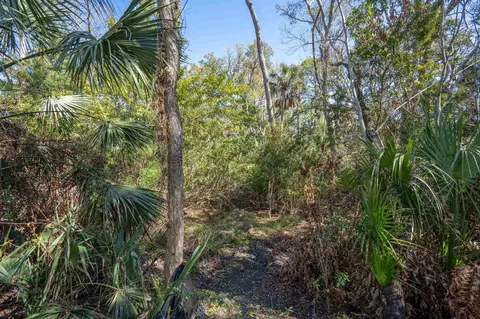Exterior - 236 Nesmith Ave, Saint Augustine, FL 32084 photo 6 of 10