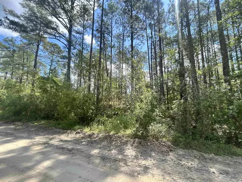 0 Selma Ave # C, Interlachen, FL 32148 photo 3