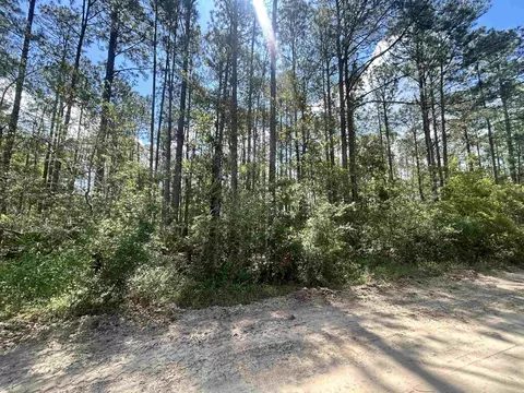 0 Selma Ave # C, Interlachen, FL 32148 photo 4