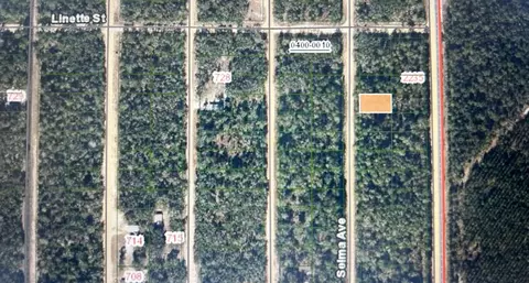 0 Selma Ave # C, Interlachen, FL 32148