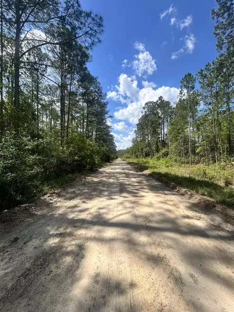 0 Selma Ave # C, Interlachen, FL 32148 photo 5
