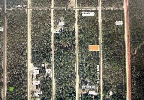 0 Selma Ave # A, Interlachen, FL 32148