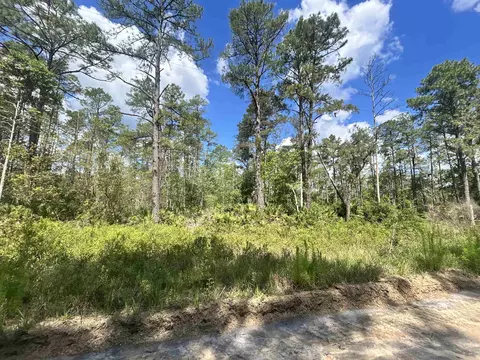 0 Selma Ave # A, Interlachen, FL 32148 photo 5