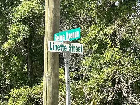 0 Selma Ave # A, Interlachen, FL 32148 photo 2