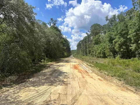 0 Selma Ave # A, Interlachen, FL 32148 photo 3