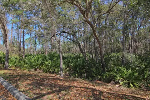 115 E Pine Hollow Trl #108, Saint Augustine, FL 32086 photo 37