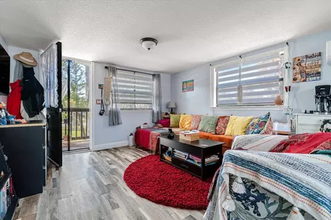 Living - 256 S Matanzas Blvd, Saint Augustine, FL 32080 photo 4 of 4