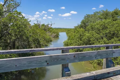 113 Spoonbill Point Ct, Saint Augustine, FL 32080 photo 52