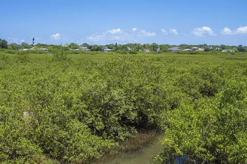 113 Spoonbill Point Ct, Saint Augustine, FL 32080 photo 41