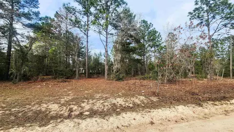 Caribbean St, Interlachen, FL 32148 photo 2