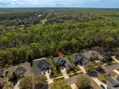 View/Area - 3156 Trout Creek Ct, Saint Augustine, FL 32092 photo 12 of 22