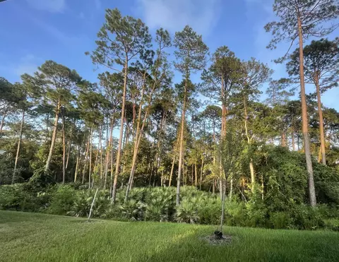 Exterior - 96 Silver Birch St, Saint Augustine, FL 32084 photo 3 of 4