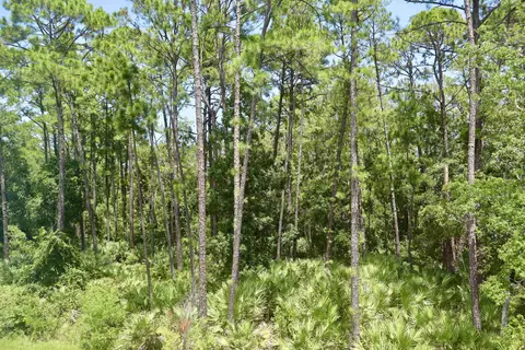 Other - 96 Silver Birch St, Saint Augustine, FL 32084 photo 3 of 6