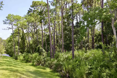 Other - 96 Silver Birch St, Saint Augustine, FL 32084 photo 1 of 6