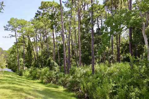 Other - 96 Silver Birch St, Saint Augustine, FL 32084 photo 1 of 4
