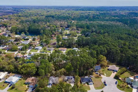 View/Area - 4040 Red Pine Ln, Saint Augustine, FL 32086 photo 2 of 17