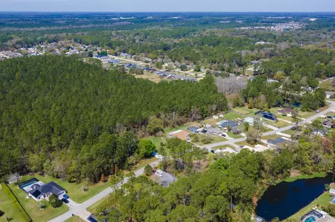 View/Area - 4040 Red Pine Ln, Saint Augustine, FL 32086 photo 8 of 17