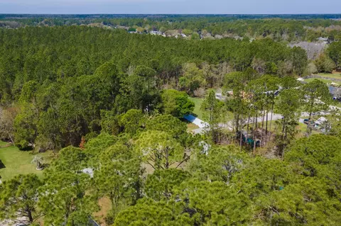 View/Area - 4040 Red Pine Ln, Saint Augustine, FL 32086 photo 7 of 17