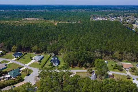 View/Area - 4040 Red Pine Ln, Saint Augustine, FL 32086 photo 10 of 17