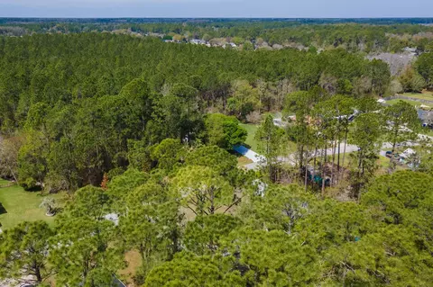 View/Area - 4040 Red Pine Ln, Saint Augustine, FL 32086 photo 7 of 17