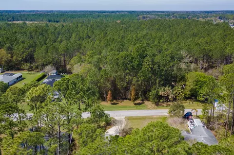 View/Area - 4040 Red Pine Ln, Saint Augustine, FL 32086 photo 9 of 17