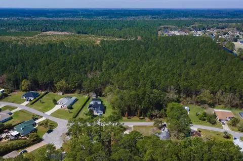 View/Area - 4040 Red Pine Ln, Saint Augustine, FL 32086 photo 10 of 17