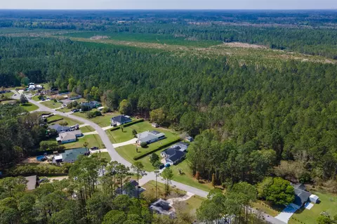 View/Area - 4040 Red Pine Ln, Saint Augustine, FL 32086 photo 12 of 17