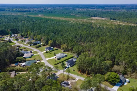 View/Area - 4040 Red Pine Ln, Saint Augustine, FL 32086 photo 12 of 17