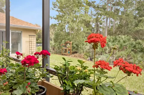 Exterior - 351 Point Pleasant Dr, Saint Augustine, FL 32086 photo 10 of 24