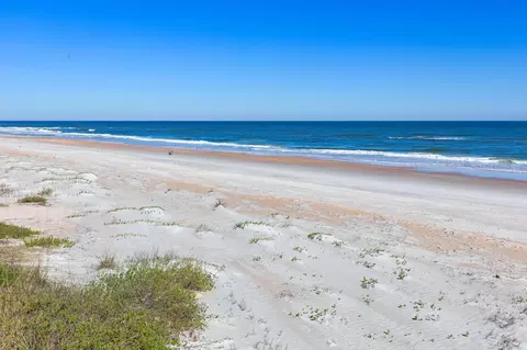 View/Area - 253 Jarama Cir, Saint Augustine, FL 32084 photo 21 of 23