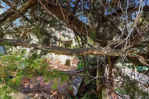 Exterior - 50 Charlotte St, Saint Augustine, FL 32084 photo 9 of 25