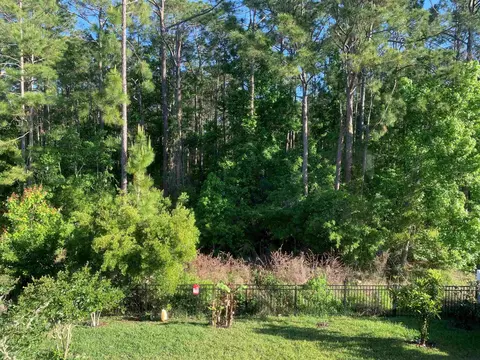 Exterior - 165 Myrtle Oak Ct, Saint Augustine, FL 32092 photo 7 of 10