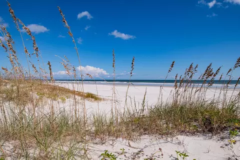 5067 Atlantic Vw, Saint Augustine, FL 32080 photo 7