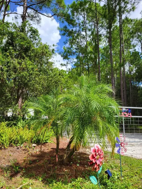 Exterior - 2130 Carter Rd, Saint Augustine, FL 32084 photo 16 of 16