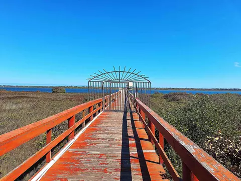 View/Area - 28 Catalonia Ct, Saint Augustine, FL 32086 photo 13 of 14