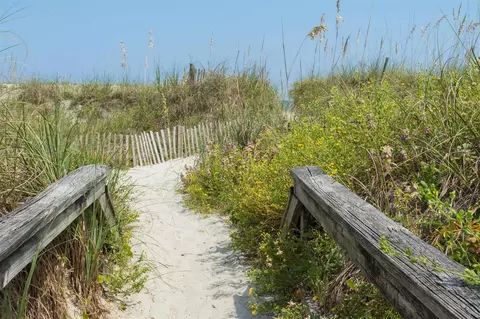 Other - 6779 Magnolia Ln, Saint Augustine, FL 32086 photo 12 of 17