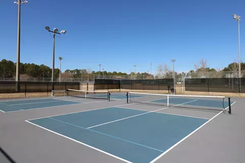 Exterior - 251 Mustard Hill Ct, Saint Augustine, FL 32086 photo 7 of 8