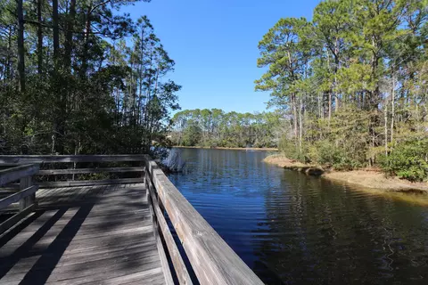 View/Area - 251 Mustard Hill Ct, Saint Augustine, FL 32086 photo 3 of 3