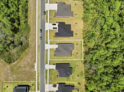 View/Area - 242 Goya Way, Saint Augustine, FL 32086 photo 4 of 4