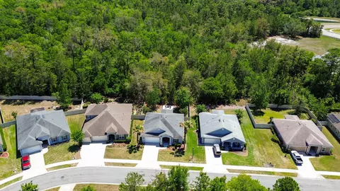 View/Area - 164 Wild Egret Ln, Saint Augustine, FL 32086 photo 2 of 7