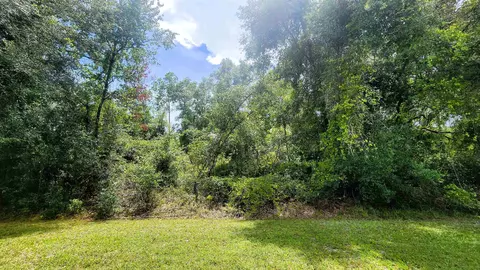 S Georgetown Point Rd, Georgetown, FL 32139