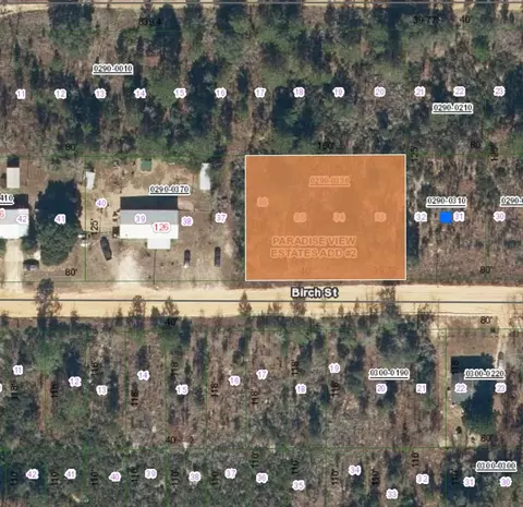 0 Birch St, Interlachen, FL 32148 photo 2