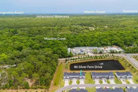 View/Area - 86 Silver Fern Dr, Saint Augustine, FL 32086 photo 6 of 11