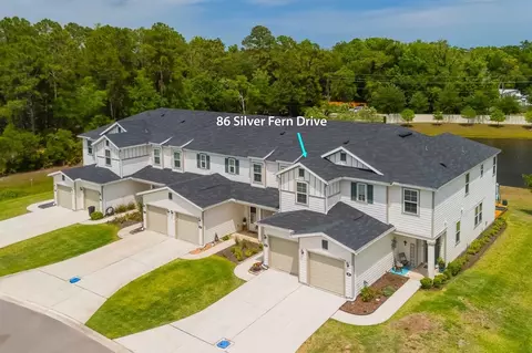 View/Area - 86 Silver Fern Dr, Saint Augustine, FL 32086 photo 1 of 11