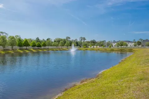 86 Silver Fern Dr, Saint Augustine, FL 32086 photo 53
